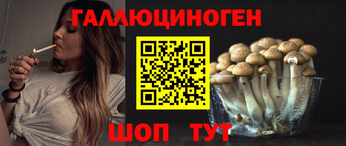 Галлюциногенные грибы Psilocybine cubensis  Вход с VPN  Горячий Ключ 